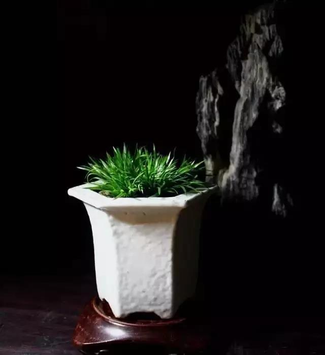201908071612264687.jpg